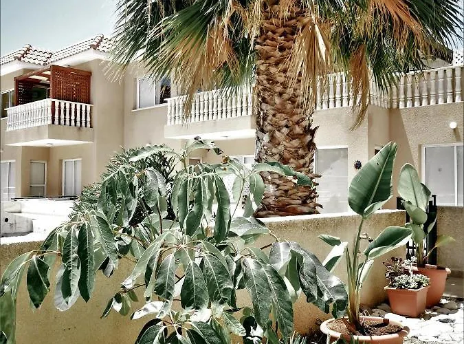 Walnut103 With Pool * パ フォス