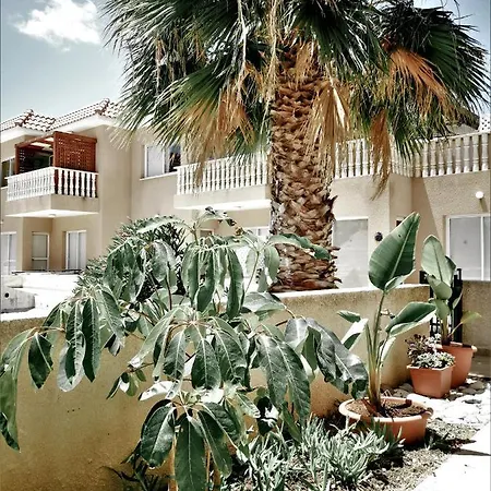 Walnut103 With Pool * Paphos