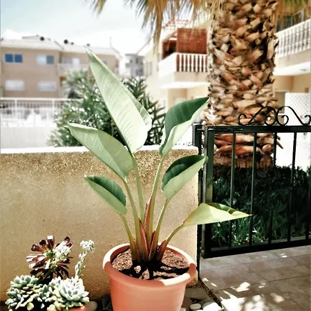 Walnut103 With Pool Appartement *