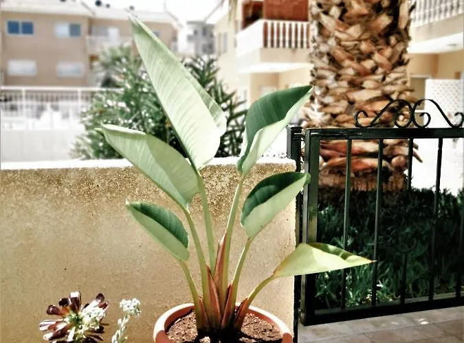 Walnut103 With Pool Apartamento *